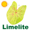 Limelite ™